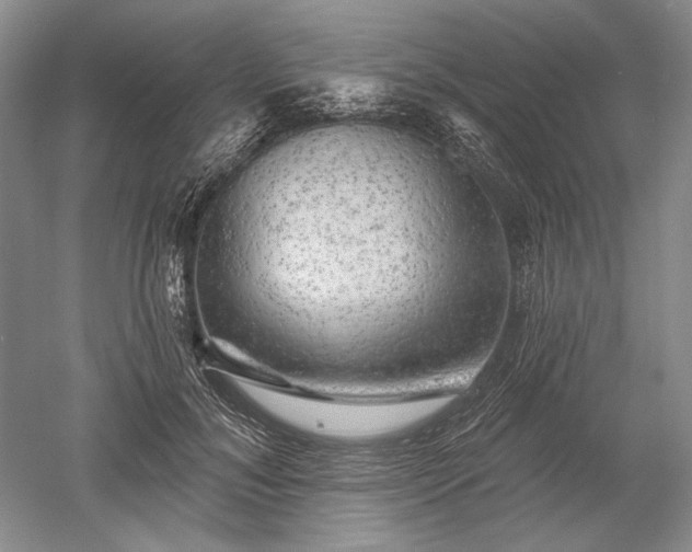 X0000052640700200507082006