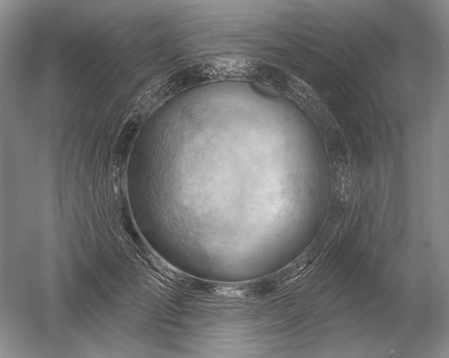 X0000052640701200507082006