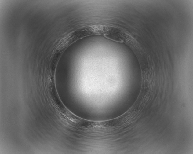 X0000052640702200507082006