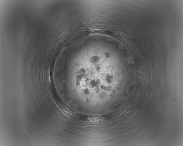 X0000052640703200507082006