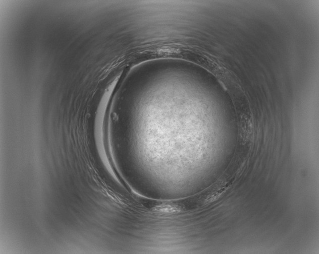 X0000052640704200507082006