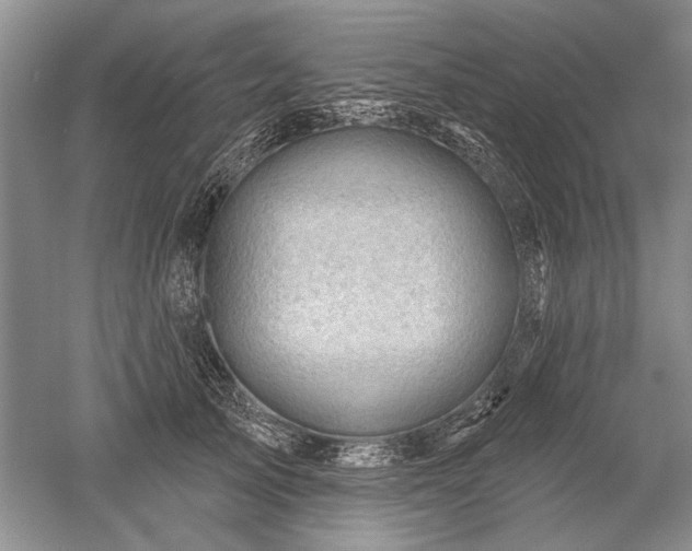 X0000052640705200507082006