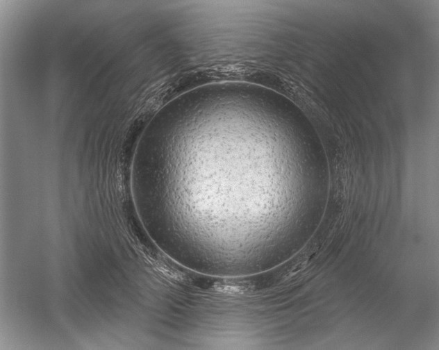 X0000052640706200507082006