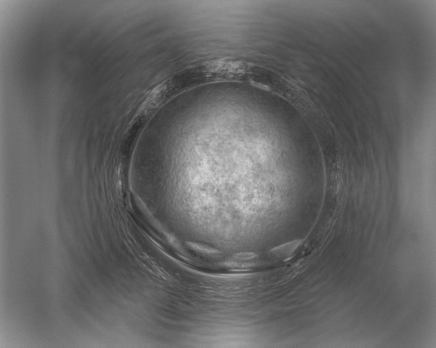 X0000052640708200507082005