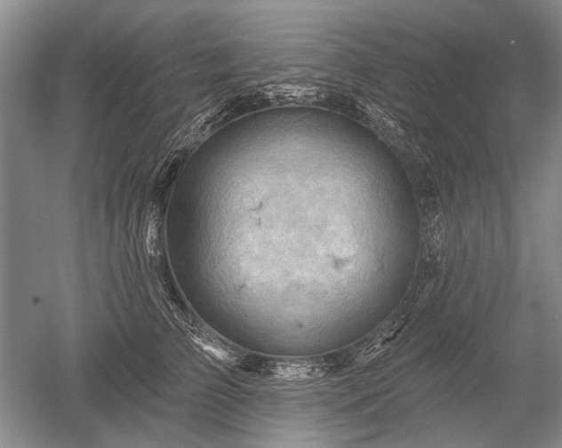 X0000052640709200507082005