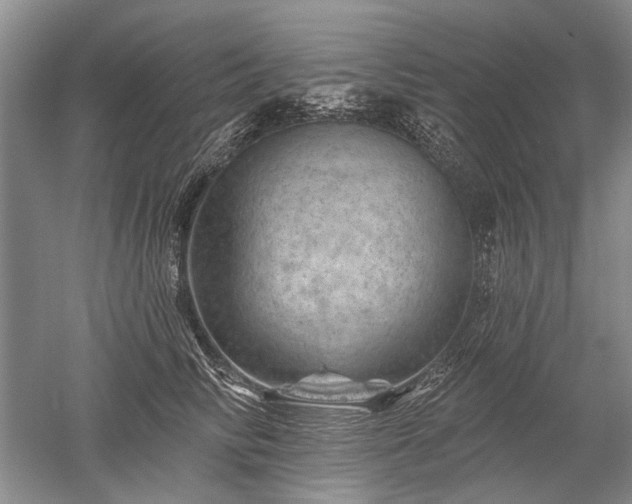 X0000052640710200507082005