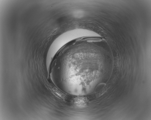 X0000052640711200507082005