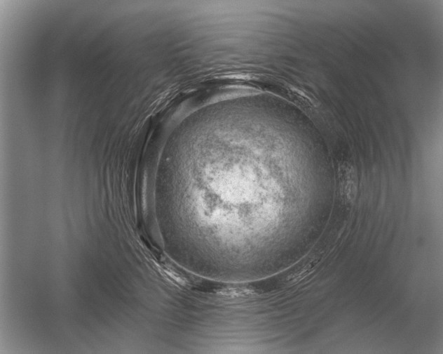 X0000052640712200507082005