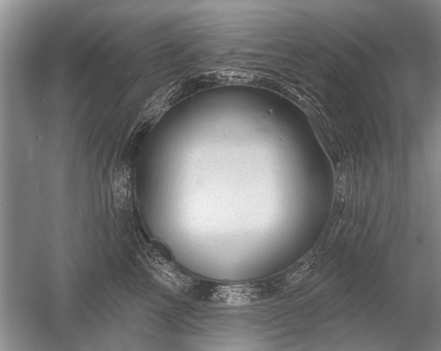 X0000052640713200507082005