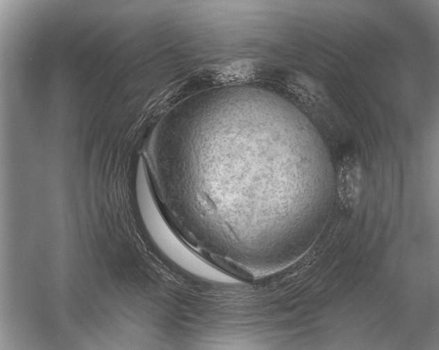 X0000052640714200507082005