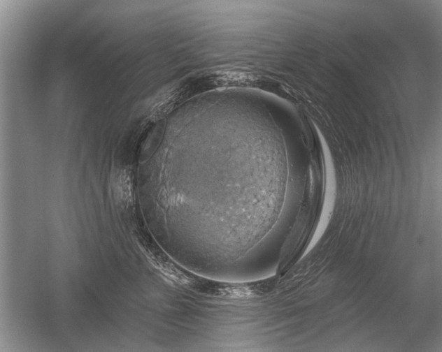 X0000052640715200507082005