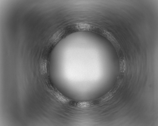 X0000052640717200507082005