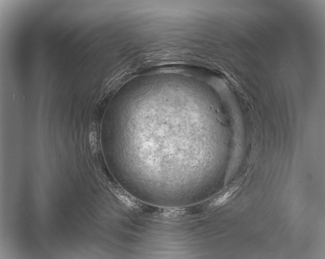 X0000052640720200507082005