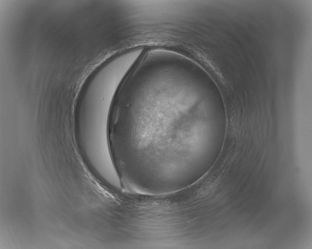 X0000052640721200507082004