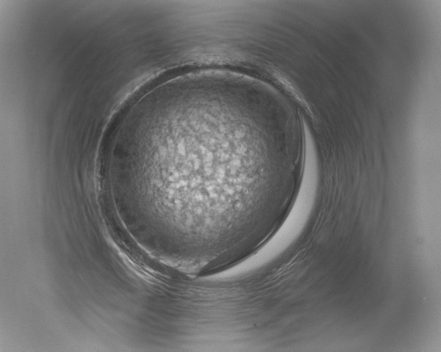 X0000052640722200507082004