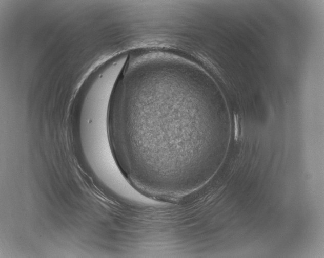 X0000052640723200507082004