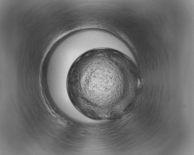 X0000052640724200507082005