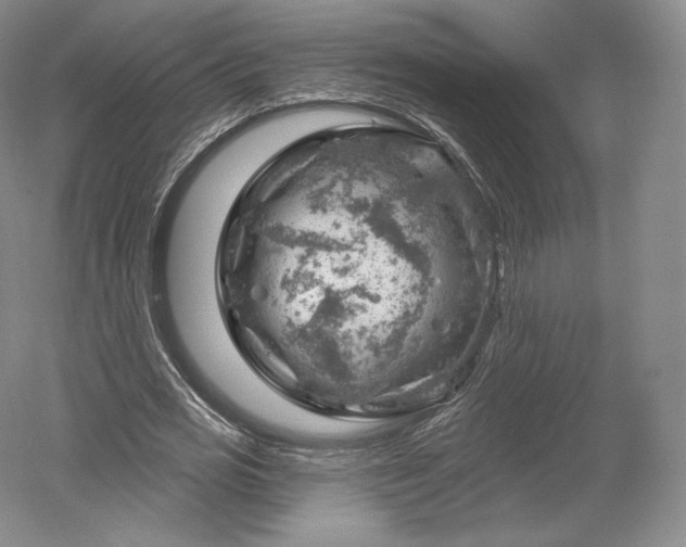 X0000052640725200507082005