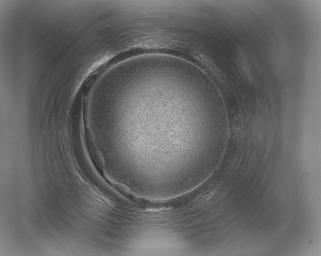 X0000052640727200507082005