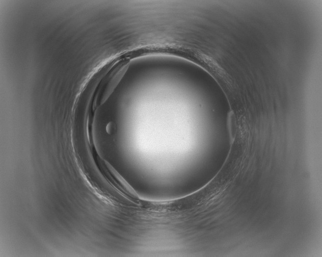 X0000052640728200507082005