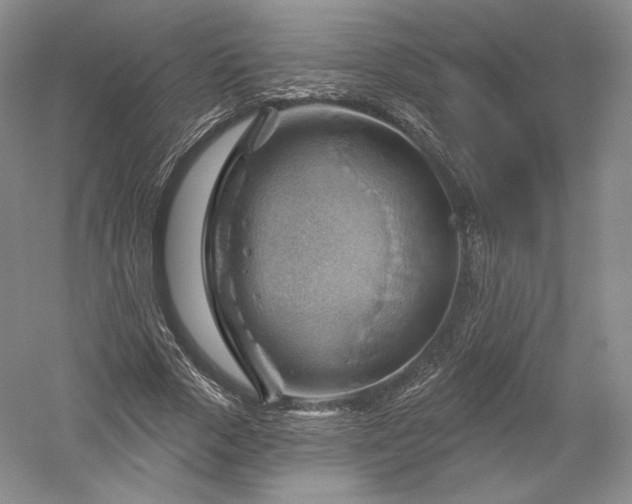 X0000052640729200507082005