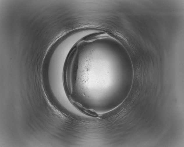 X0000052640730200507082005