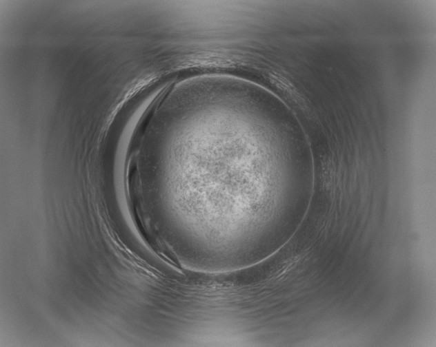 X0000052640731200507082005