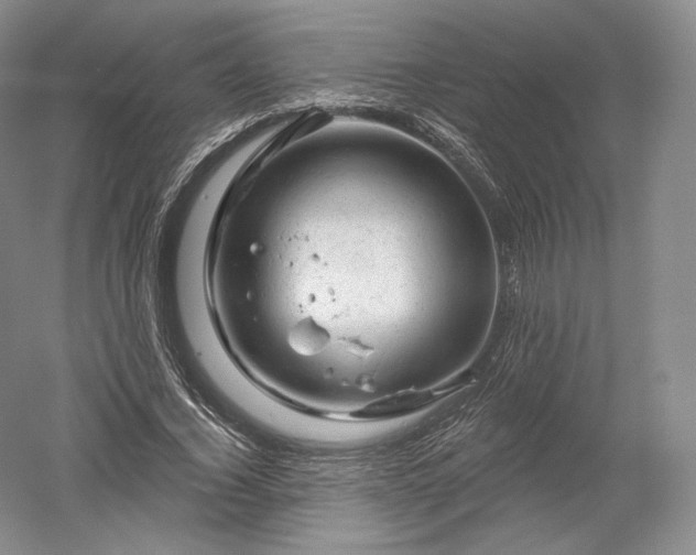 X0000052640732200507082005