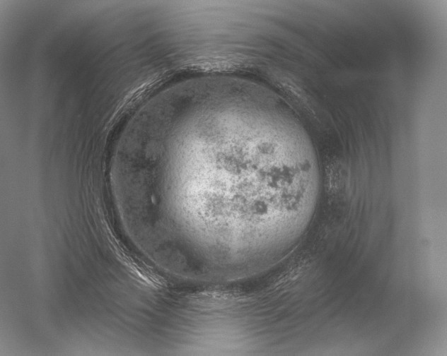 X0000052640733200507082005