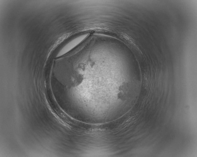 X0000052640734200507082005