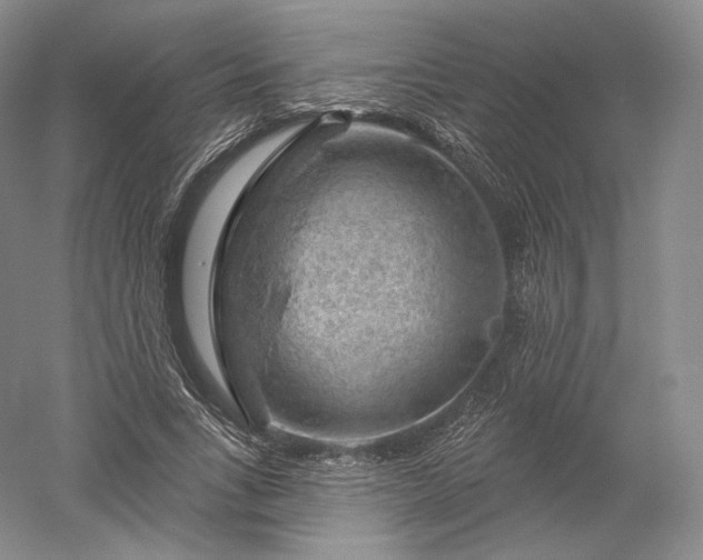 X0000052640735200507082005