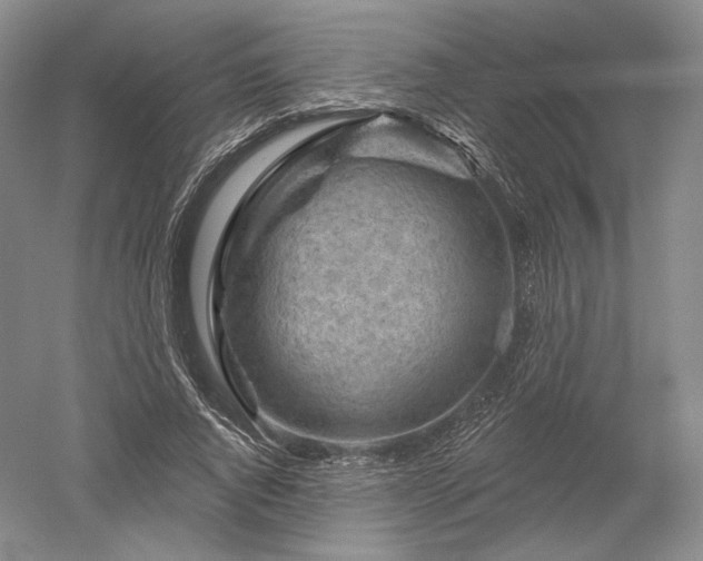 X0000052640736200507082005