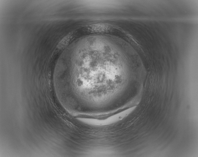 X0000052640737200507082005