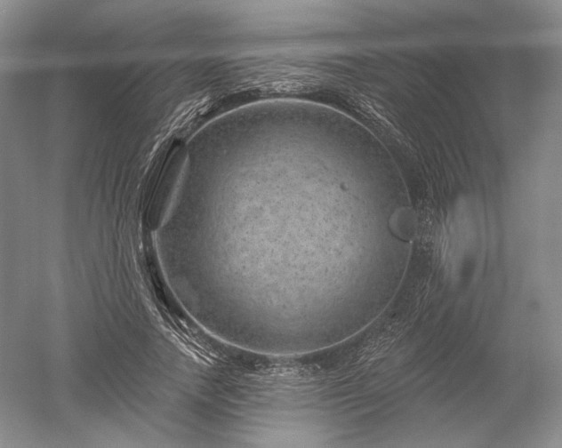 X0000052640738200507082005