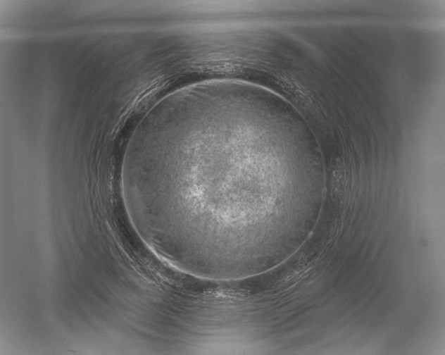 X0000052640739200507082005