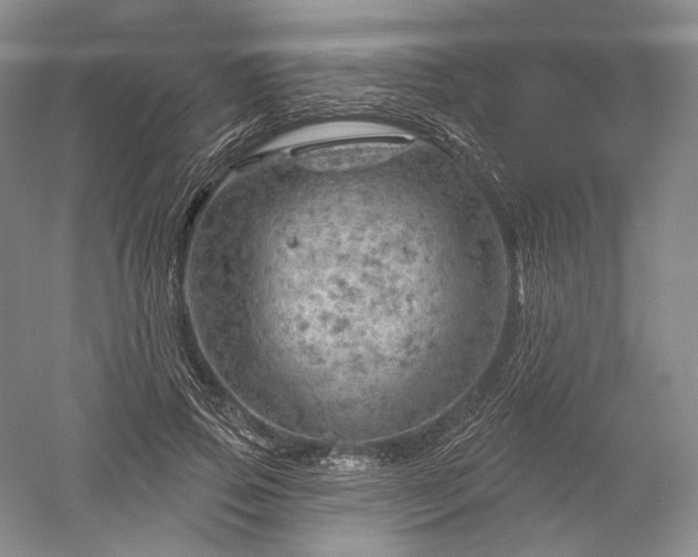 X0000052640741200507082005