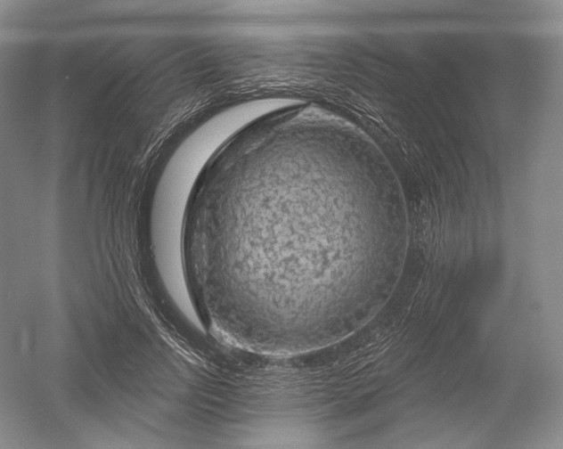 X0000052640742200507082005