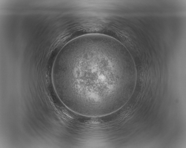 X0000052640743200507082005