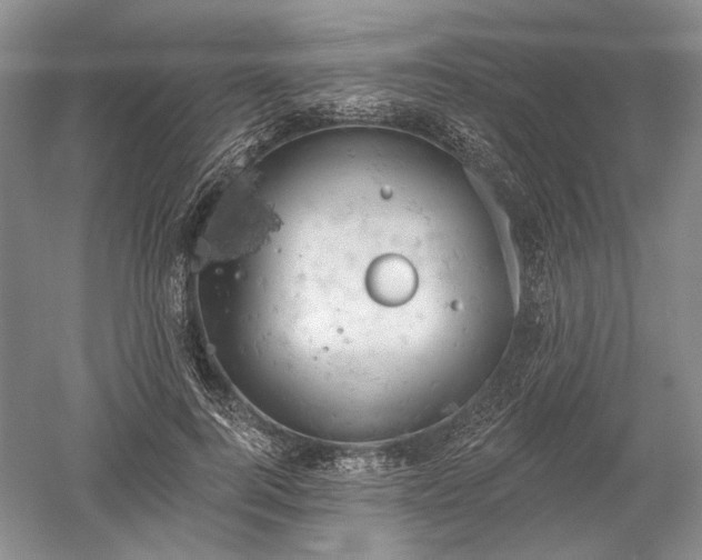 X0000052640744200507082005