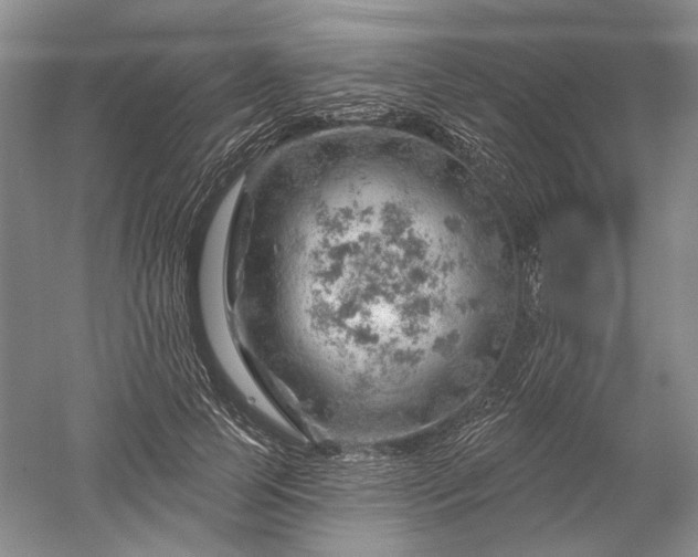 X0000052640745200507082005