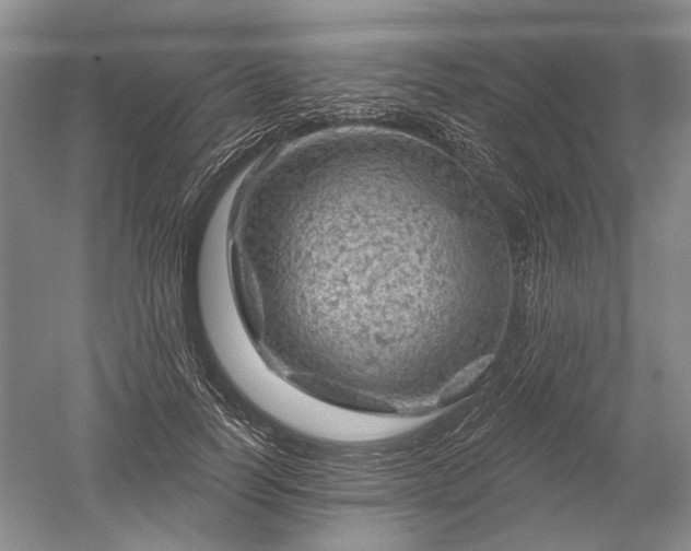 X0000052640746200507082005