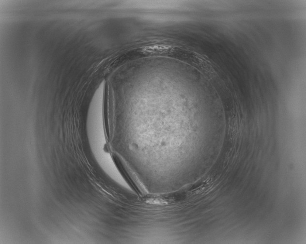 X0000052640749200507082005