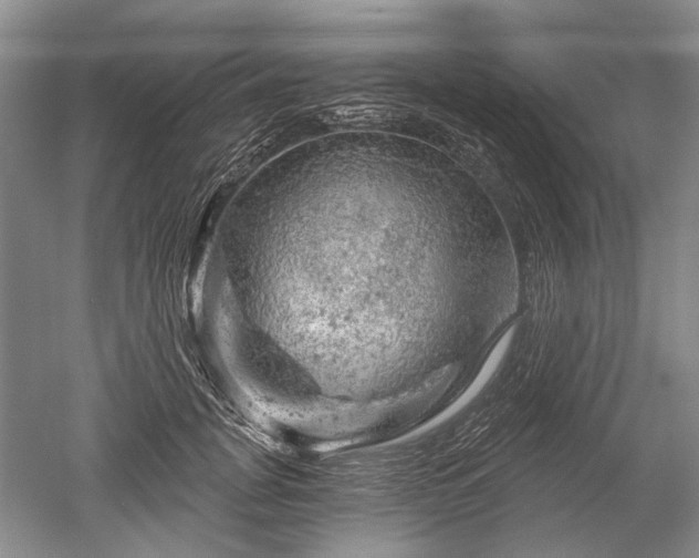 X0000052640751200507082005