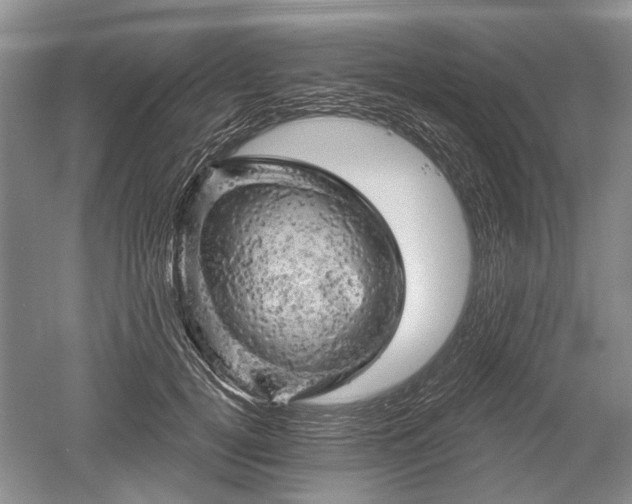 X0000052640752200507082005