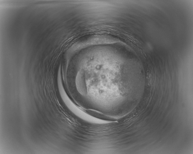 X0000052640753200507082005