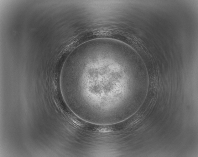 X0000052640755200507082005