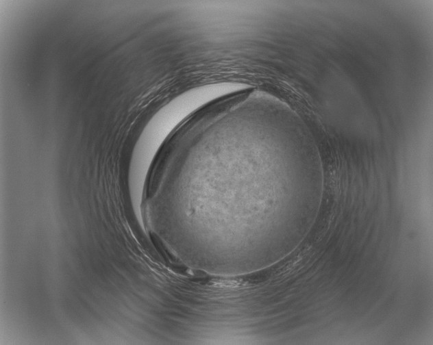 X0000052640757200507082005