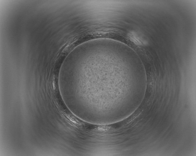 X0000052640758200507082005