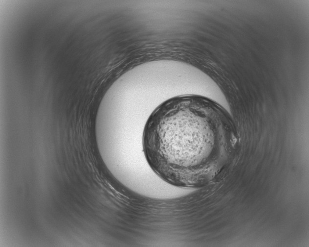 X0000052640760200507082005