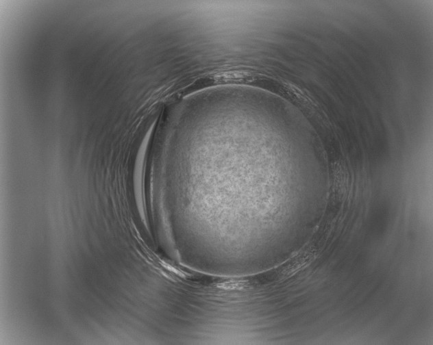 X0000052640761200507082005